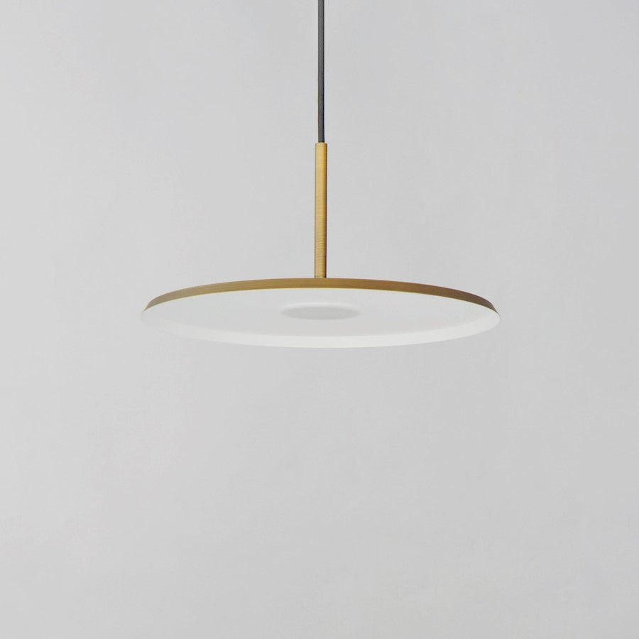 1 Light Pendant