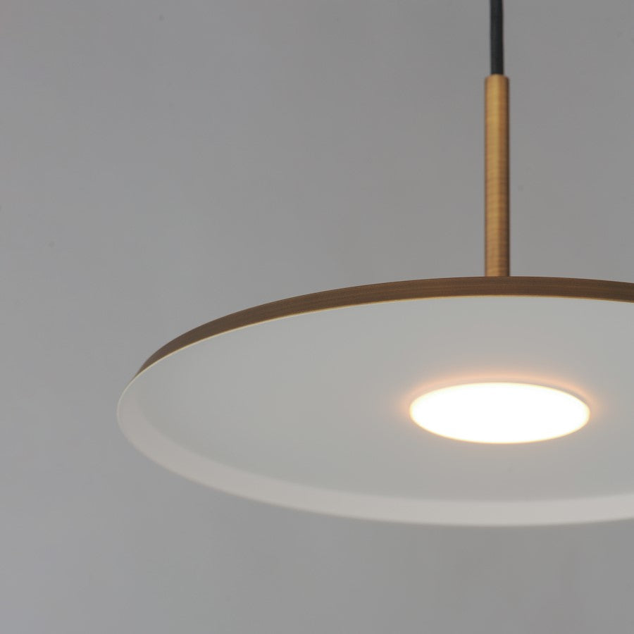 1 Light Pendant