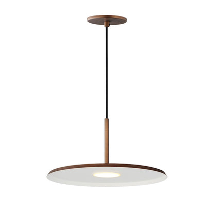 1 Light Pendant