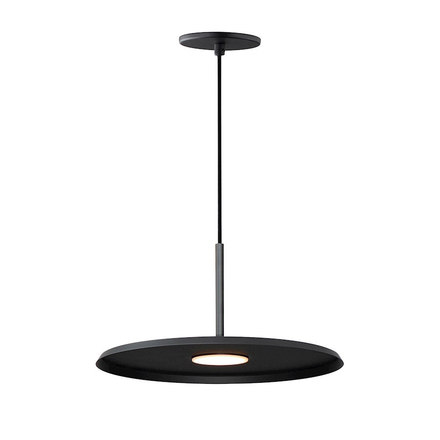 1 Light Pendant
