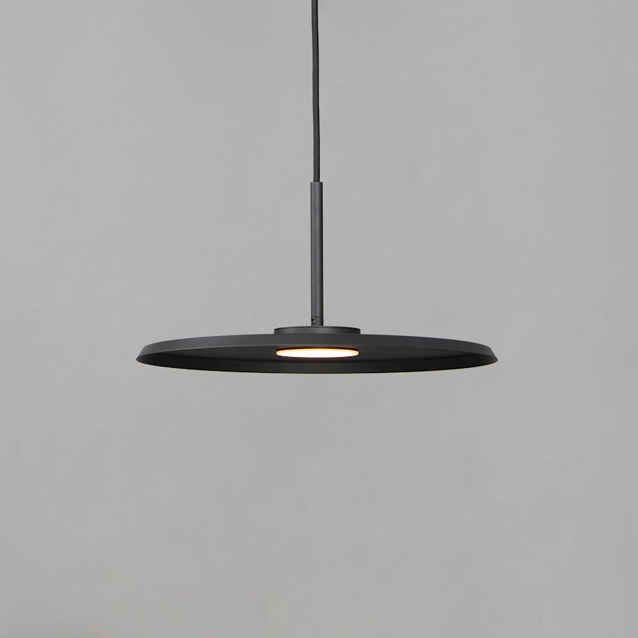 1 Light Pendant