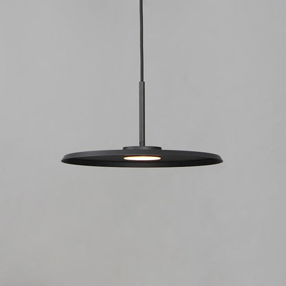 1 Light Pendant