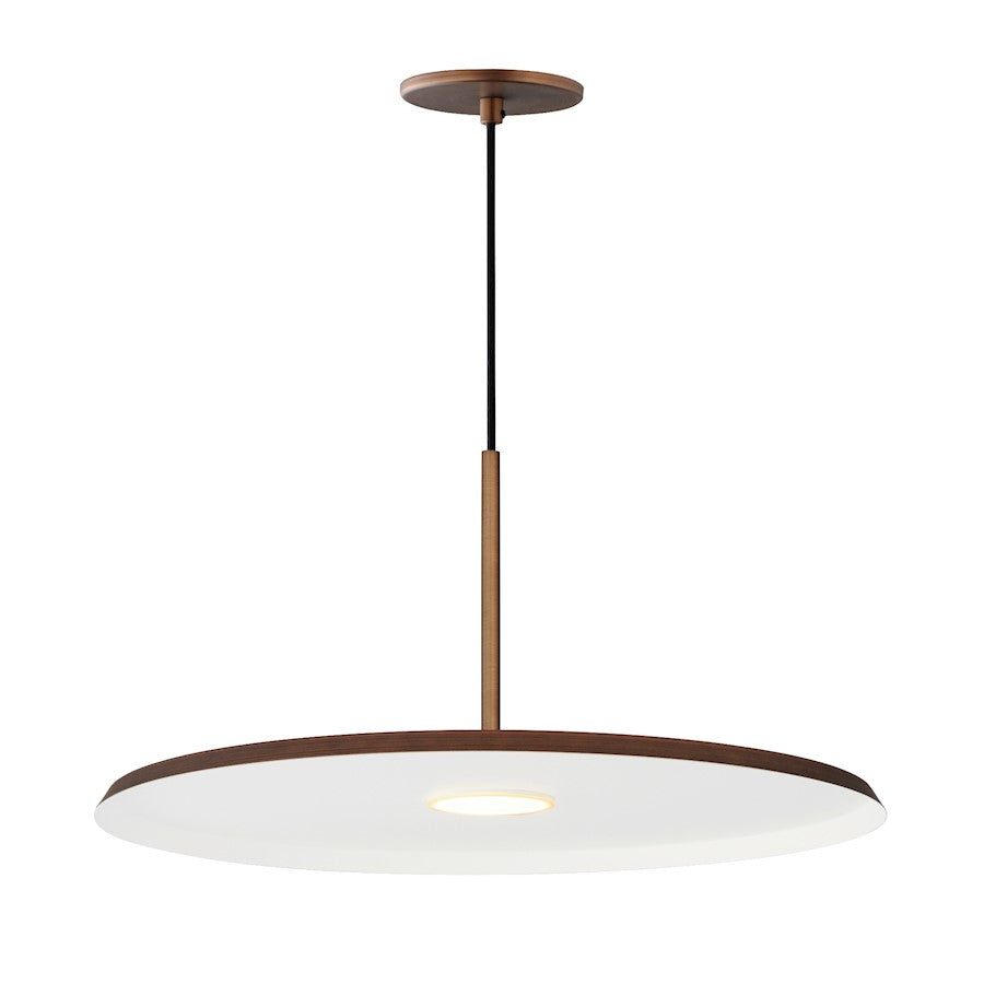 1 Light Pendant
