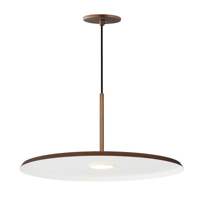 1 Light Pendant