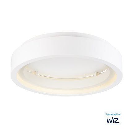 ET2 Lighting Icorona 1 Light 24" LED Flush Mount