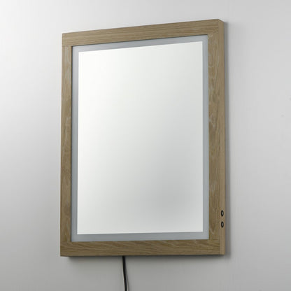ET2 Lighting Sawyer 1 Light 24"x32" Oak Framed LED Mirror, Oak
