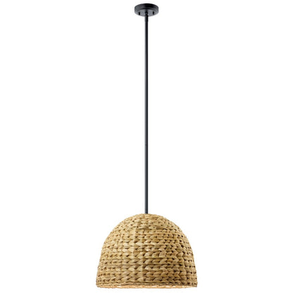 Kichler Raffiana 1 Light Mini Pendant, Black/Clear Satin Etched - 44399BK