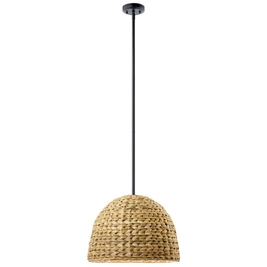 Kichler Raffiana 1 Light Mini Pendant, Black/Clear Satin Etched - 44399BK