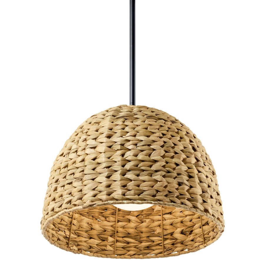 Kichler Raffiana 1 Light Mini Pendant, Black/Clear Satin Etched