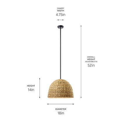 Kichler Raffiana 1 Light Mini Pendant, Black/Clear Satin Etched