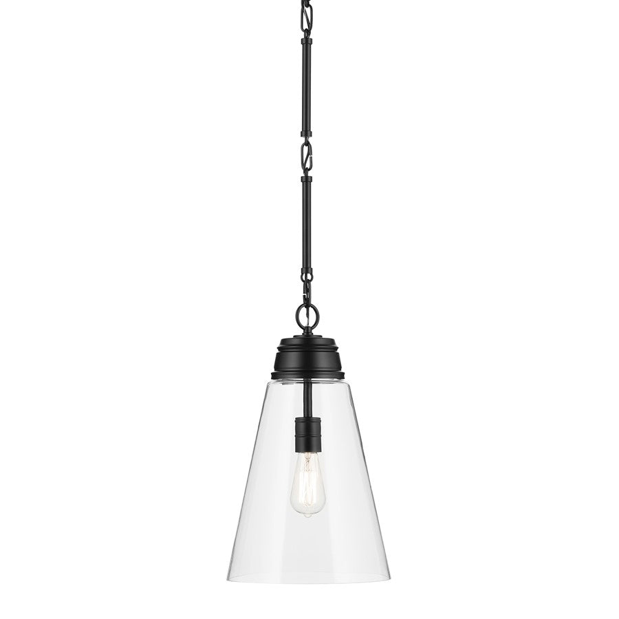Kichler Marsailli 1 Light 19" Pendant, Black/Clear