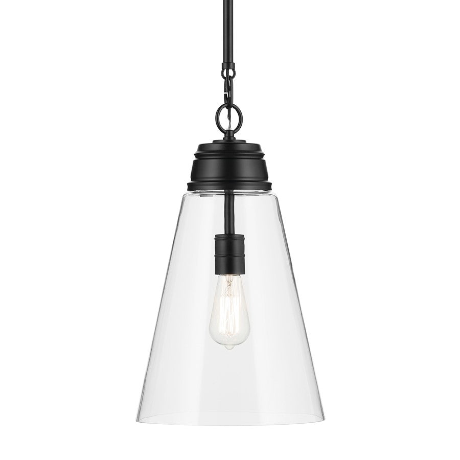 Kichler Marsailli 1 Light 19" Pendant, Black/Clear