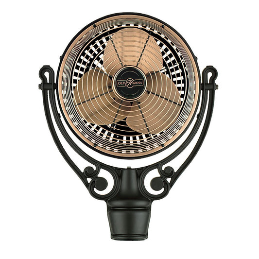 Fanimation Old Havana Motor Assembly | Antique Copper Finish | Ceiling Fan Motor for Living Room & Bedroom | 24 x 19 x 24 in | Model FPH210AC