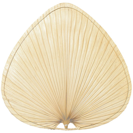 Fanimation Island 22in Wide Oval Palm Fan Blades | Natural Palm | Dry-Rated Ceiling Fan Blades | Set of 5 | Model ISP1