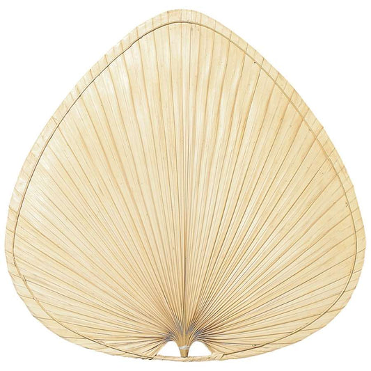 Fanimation Palmetto 18in Wide Oval Palm Fan Blades | Natural Palm | Dry Locations | Set of 3 | Model PMP2BL
