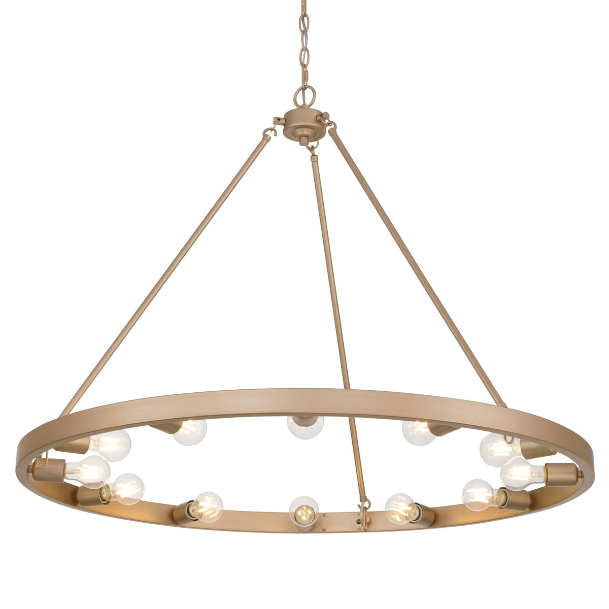 Golden Lighting Castile 40in 12-Light Chandelier | Transitional French Gold Steel | Dining Room & Foyer | 40 x 40 x 30 in | Model 1019-12 FRG