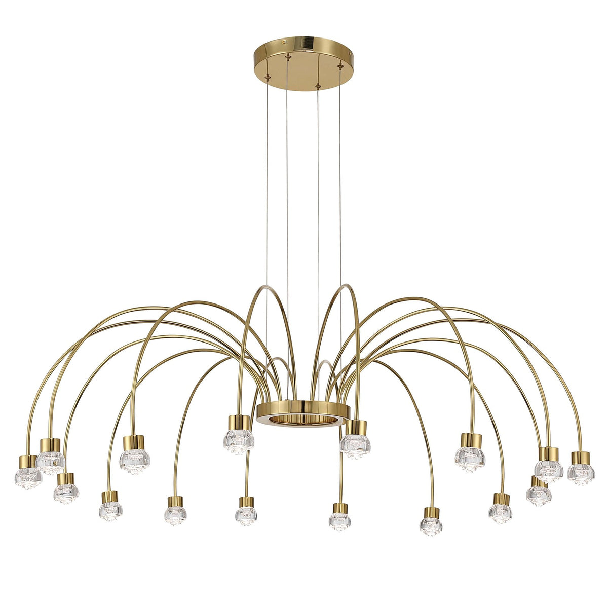 Golden Lighting Vario 47in 16-Light LED Chandelier | Modern Titanium Gold and Clear Acrylic Rose | Dining Room & Foyer | Model 1573-16 TG-B