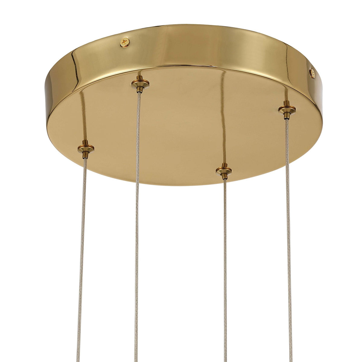 Golden Lighting Vario 47in 16-Light LED Chandelier | Modern Titanium Gold and Clear Acrylic Rose | Dining Room & Foyer | Model 1573-16 TG-B