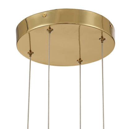 Golden Lighting Vario 47in 16-Light LED Chandelier | Modern Titanium Gold and Clear Acrylic Rose | Dining Room & Foyer | Model 1573-16 TG-B
