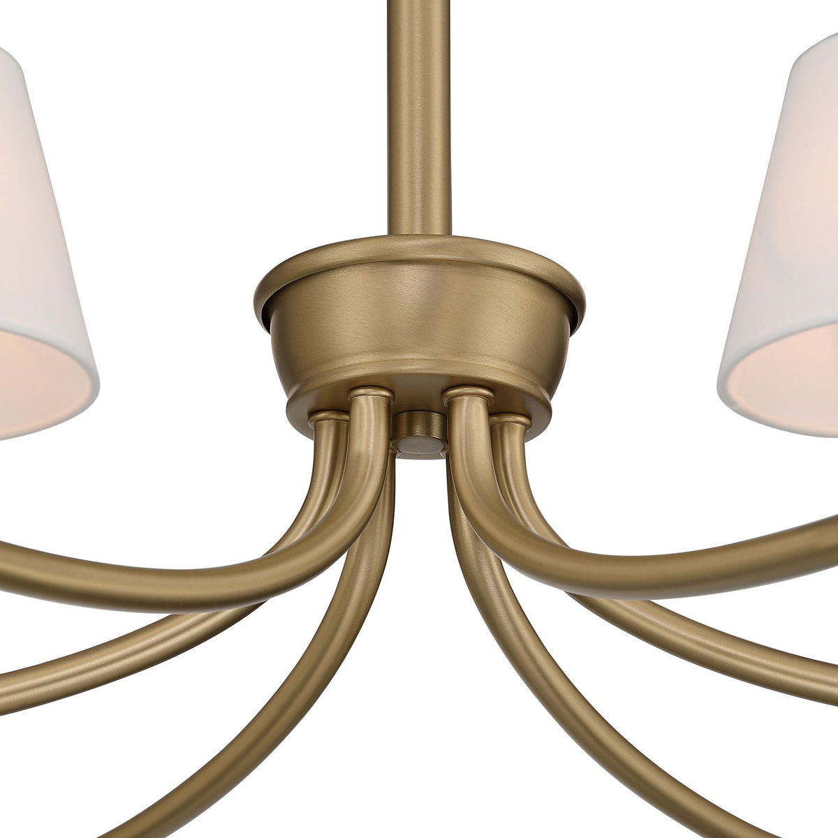 Golden Lighting Cambria 33in 6-Light Chandelier | Transitional Brushed Champagne Brass and White Fabric | Dining Room & Foyer | Model 1622-6 BCB-EHW