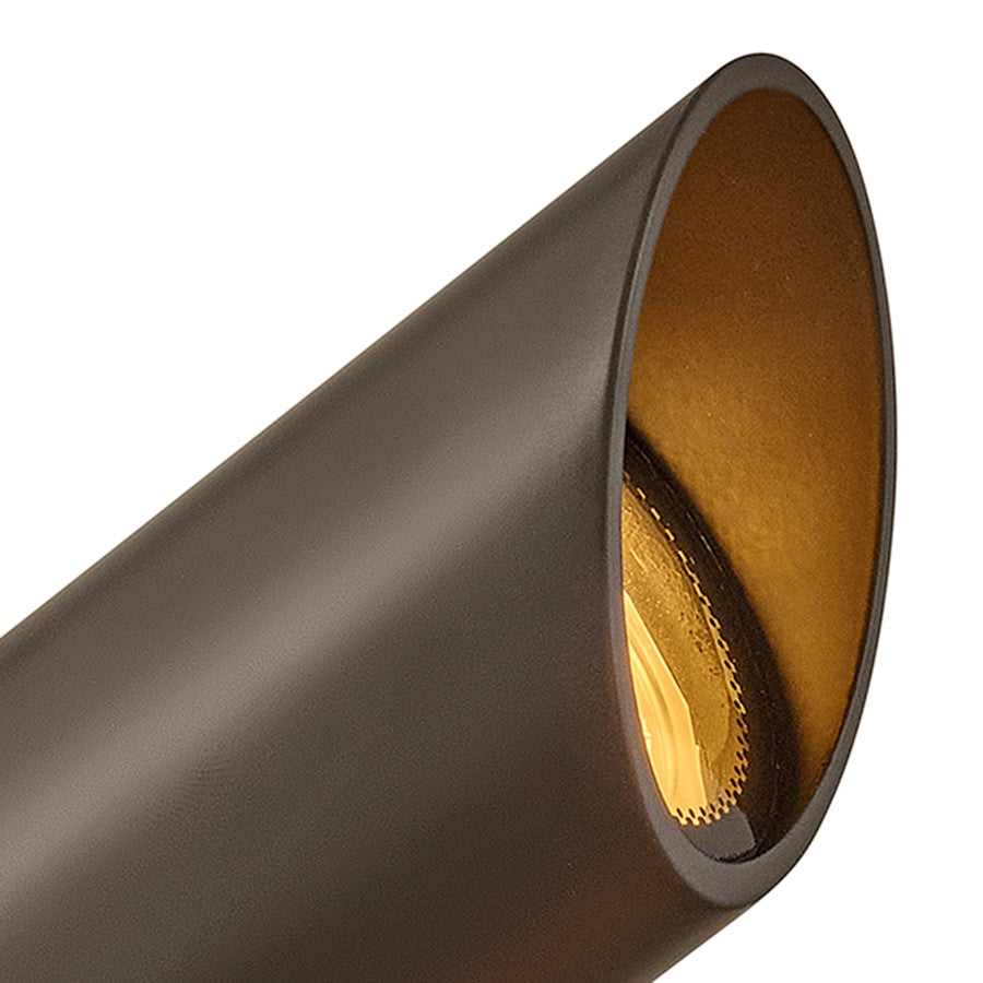 Hinkley Lighting Accent Mr16 Spot 1 Light Landscape Spot Bronze