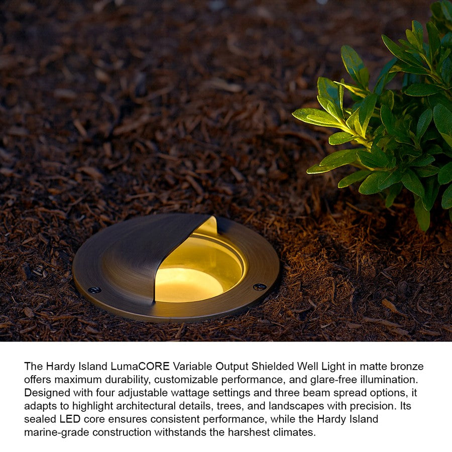 Hinkley Well Landscape Accent/30K/Shielded, Bronze/Clear Lens