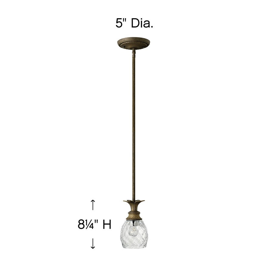 1 Light Mini Pendant