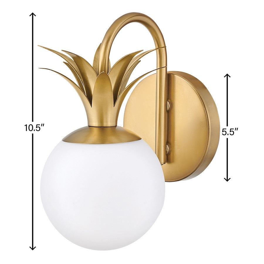 1 Light Wall Sconce