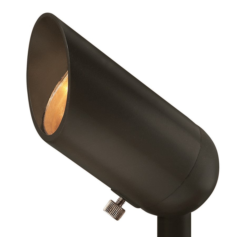 Hinkley Lumacore Spot Landscape Accent/30K/120V, Bronze/Clear - 5536BZ-LMA30K