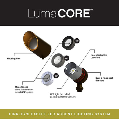 Hinkley Lumacore Spot Landscape Accent/30K/120V, Bronze/Clear