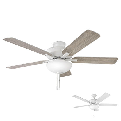 Hinkley Lighting Metro 2 Light Illuminated 52" Fan