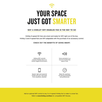 Hinkley Lighting Chisel Fan