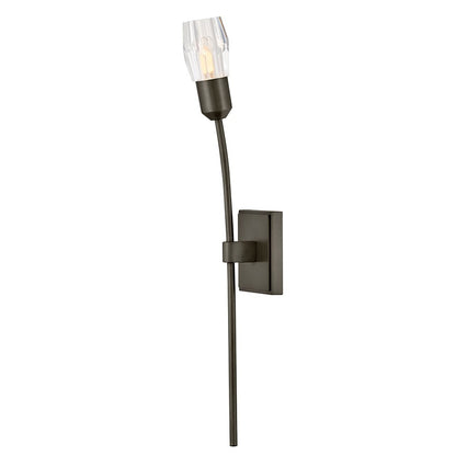 Hinkley Atera 1Lt Wall Mount, Black Oxide/Faceted Clear Crystal - FR33320BX