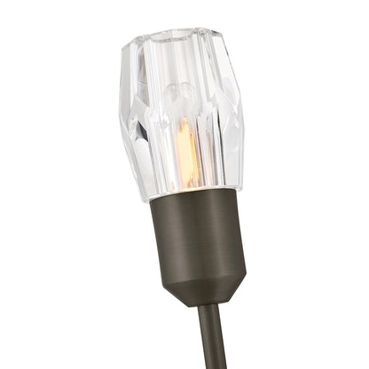Hinkley Atera 1Lt Wall Mount, Black Oxide/Faceted Clear Crystal