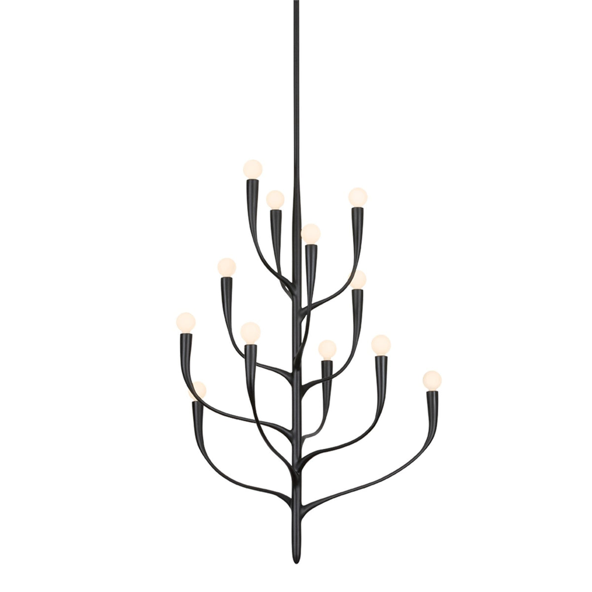 Hudson Valley Labra 32in 12-Light Chandelier | Botanical Aged Iron Steel | Dining Room & Foyer | 32 x 40 in, Damp Rated | Model 9612B-AI