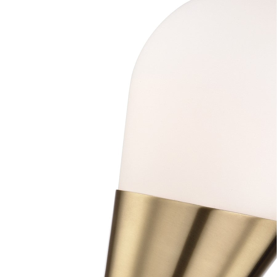 Wall Sconce