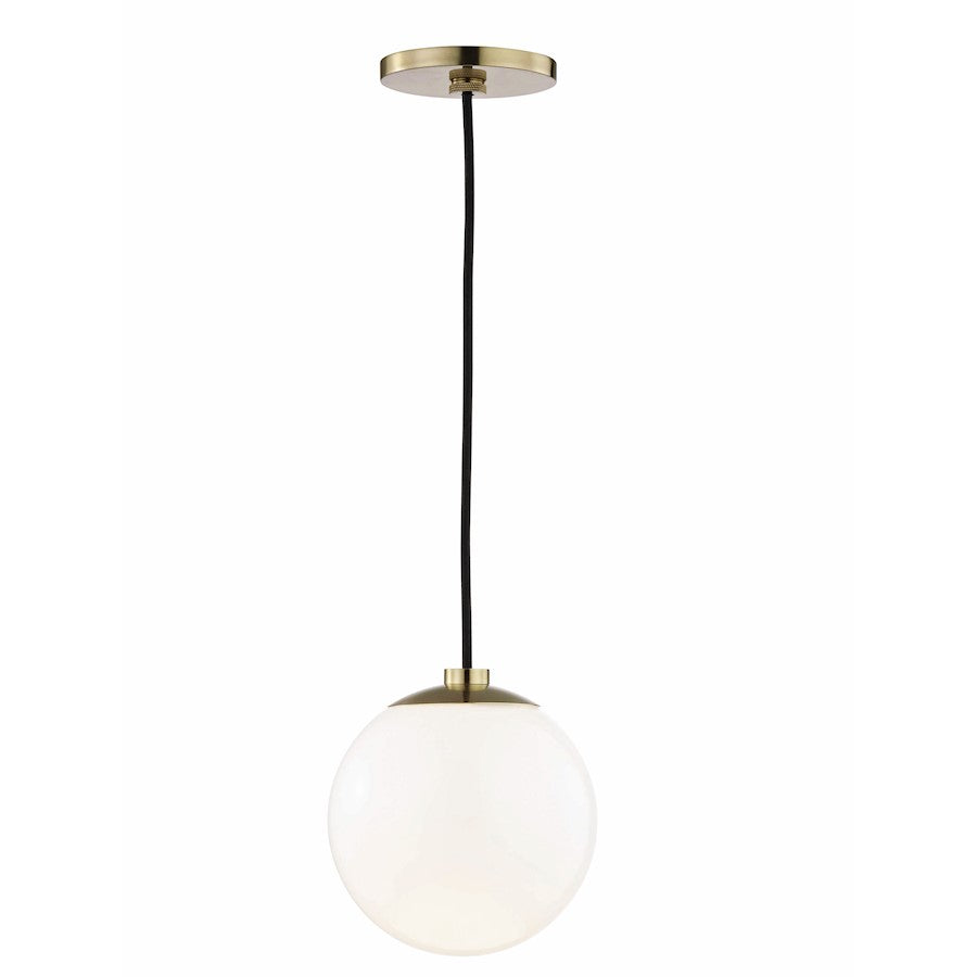 1 Light Pendant
