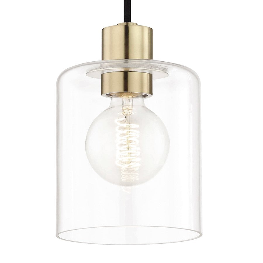 1 Light Pendant