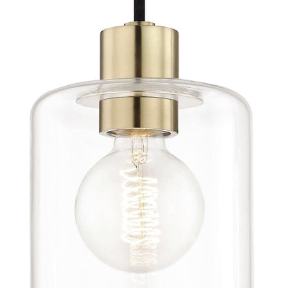 1 Light Pendant