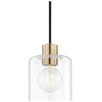 1 Light Pendant