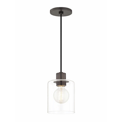 1 Light Pendant