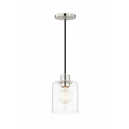 1 Light Pendant