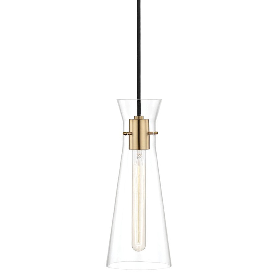 1 Light Pendant