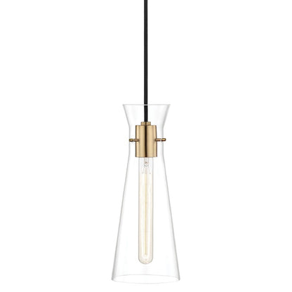 1 Light Pendant