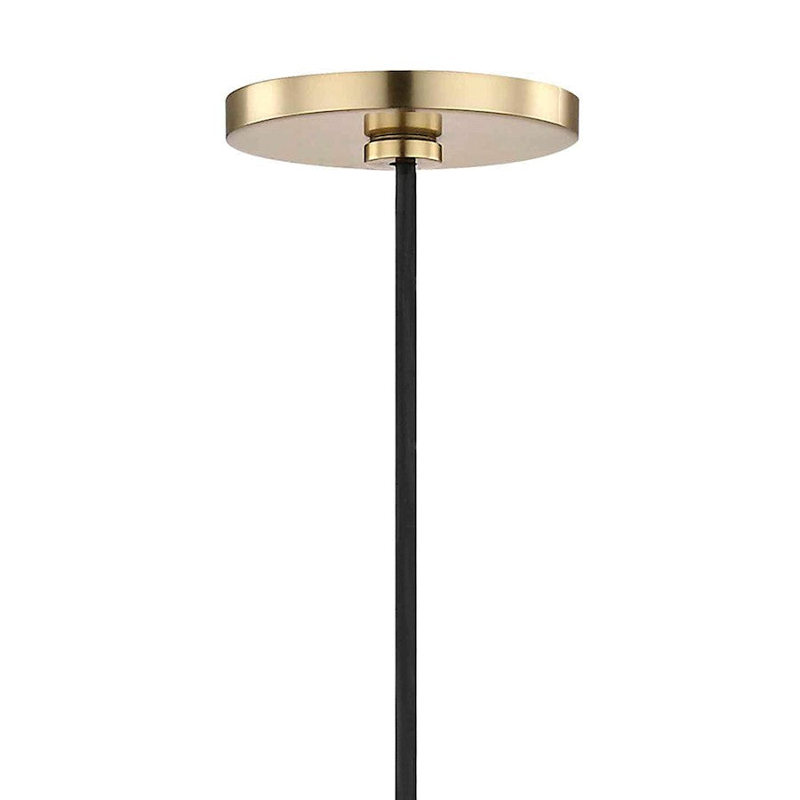 1 Light Pendant