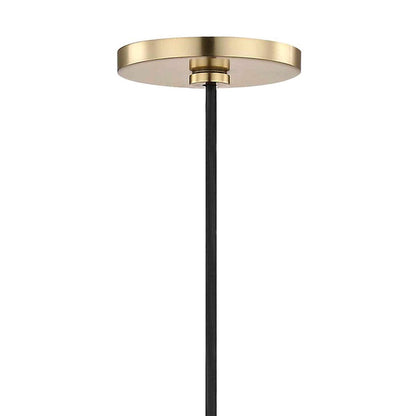 1 Light Pendant
