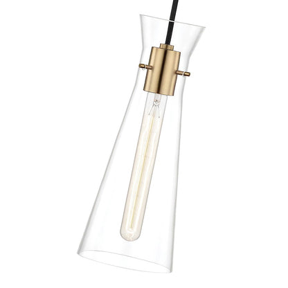 1 Light Pendant