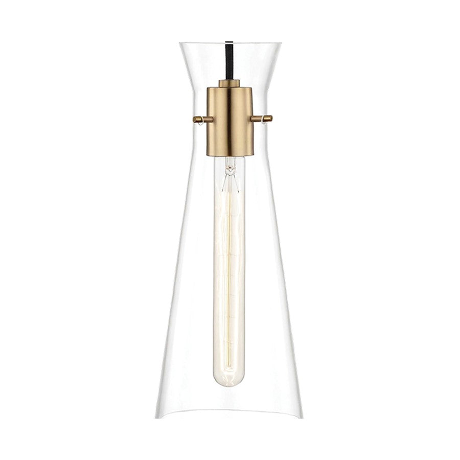 1 Light Pendant