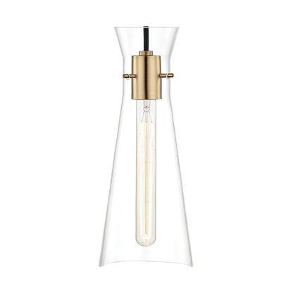 1 Light Pendant