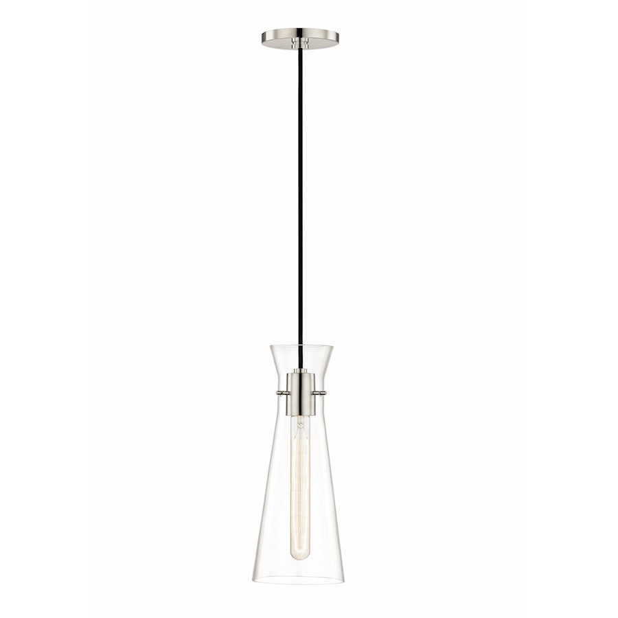 1 Light Pendant